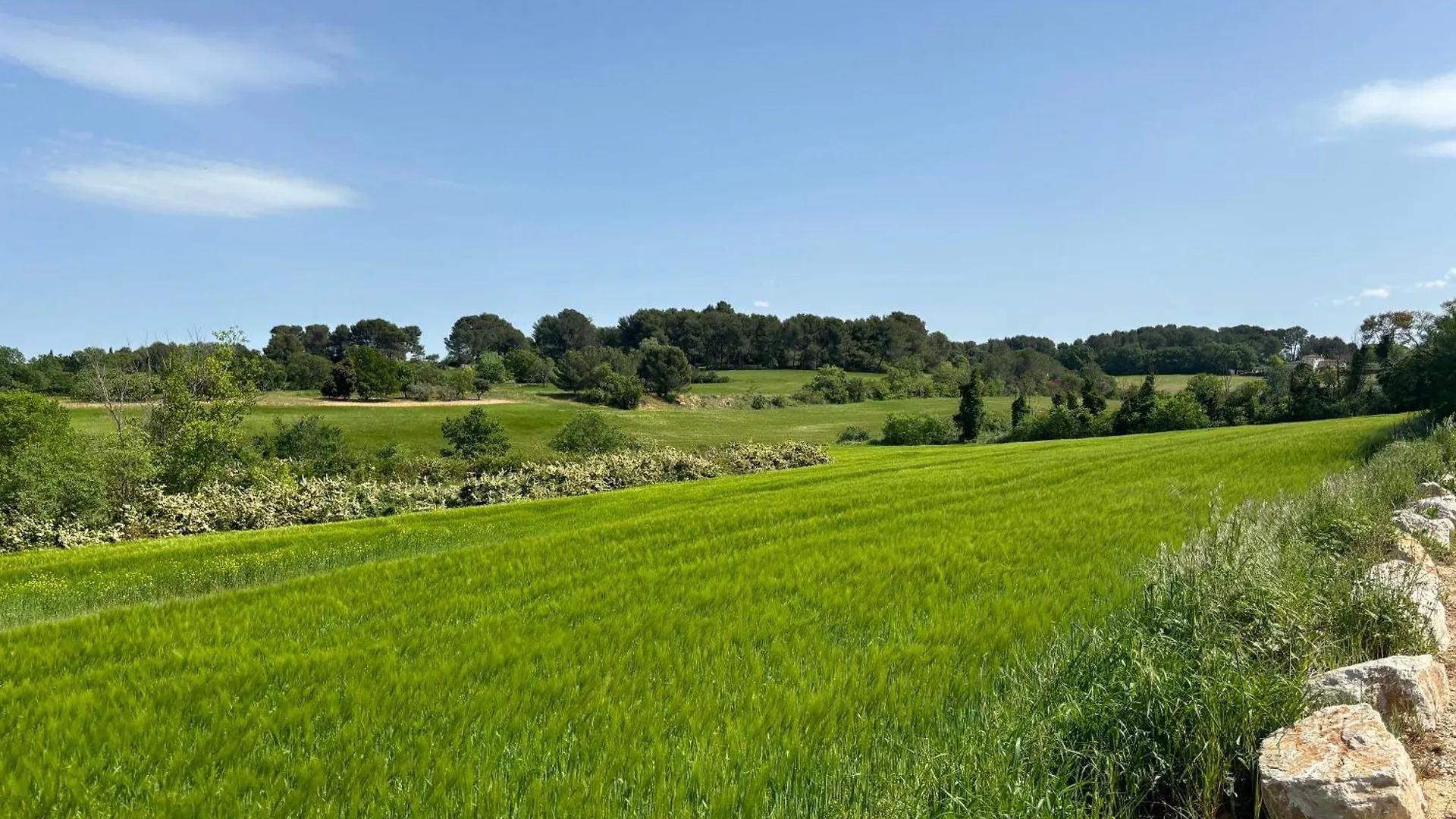 Appartement Havre De Paix Au Sein D'Un T3 D'Une Bastide Aixoise Aix-en-Provence Frankrijk