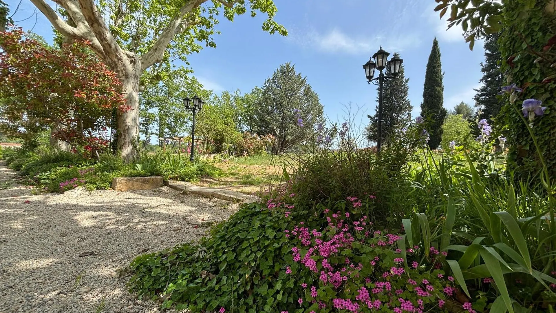 Havre De Paix Au Sein D'Un T3 D'Une Bastide Aixoise Aix-en-Provence Frankrijk